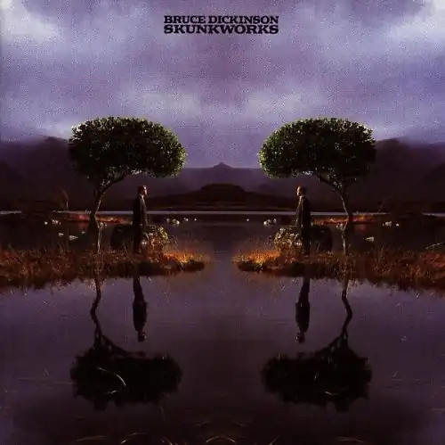 Bruce dickinson skunkworks - dickinson,